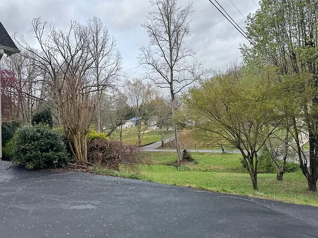 View of neighborhood.
