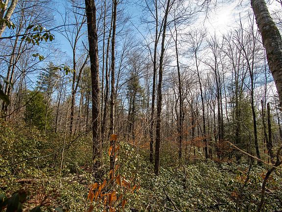 4th image of 115 Lyon Hill Rd