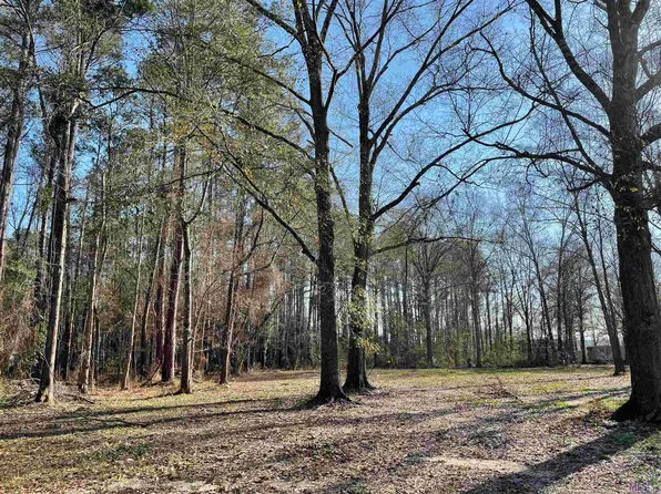 30892 Weiss Rd, Walker, LA 70785