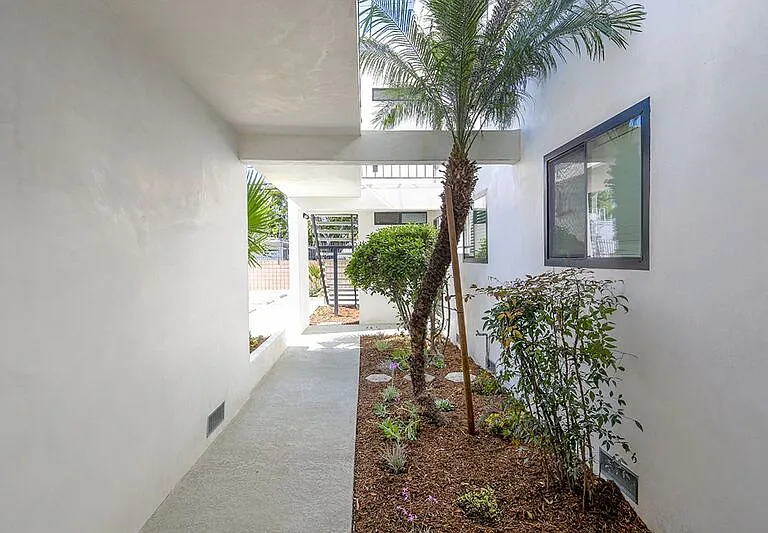 655 Ivy St #8 — Photo 13