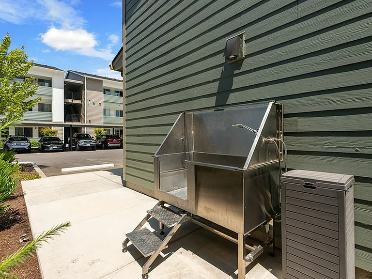Pet Washing Station