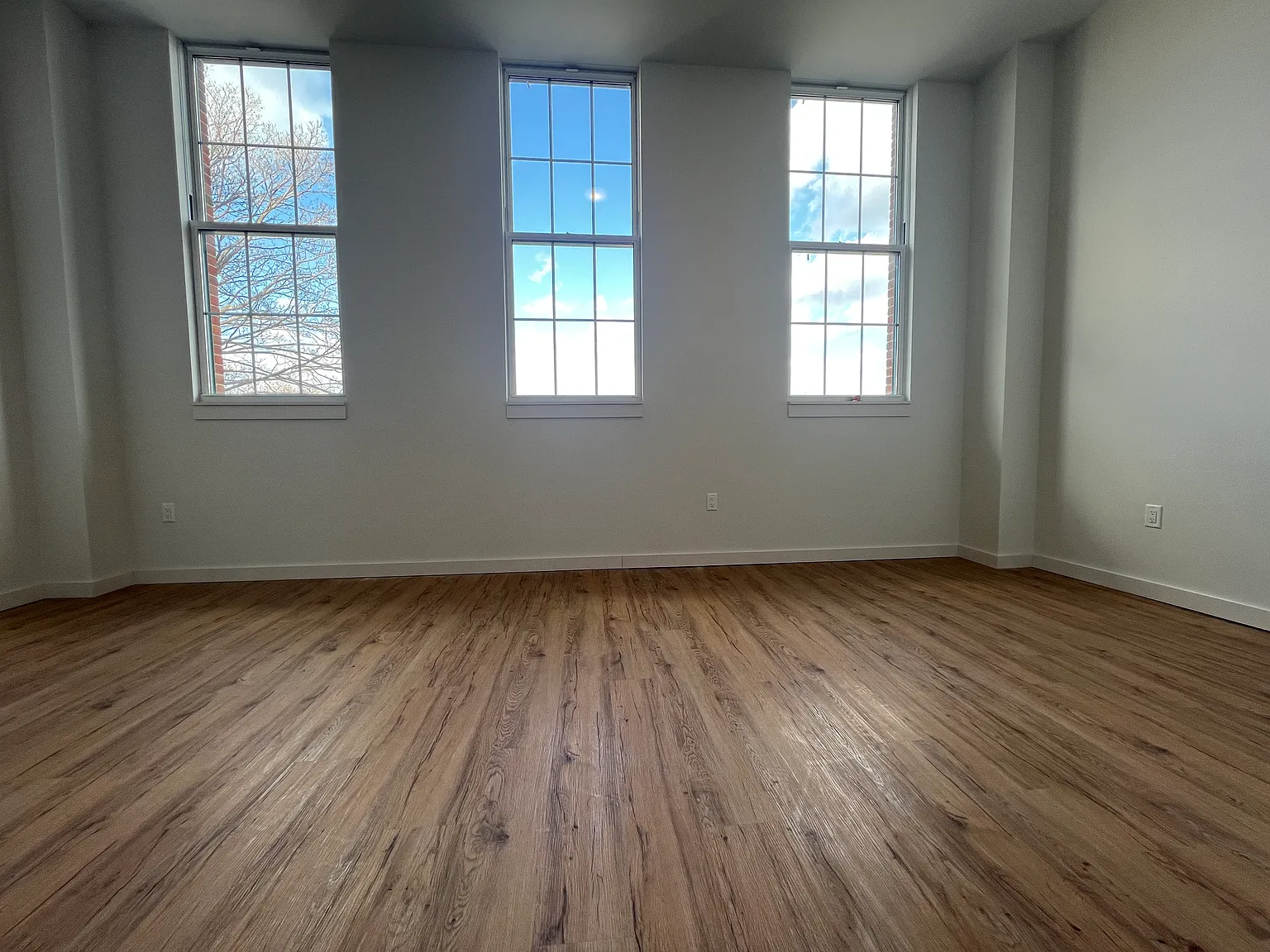 991 Saint John's Place — Photo 2
