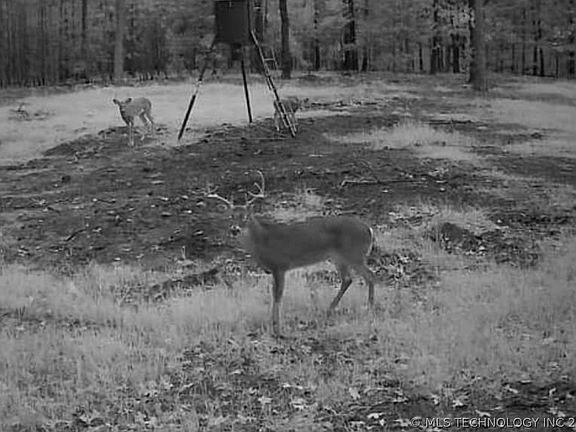 4th image of 164687 N 4293rd Rd