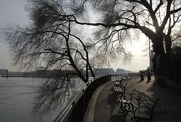 Rented by Batra Group Inc