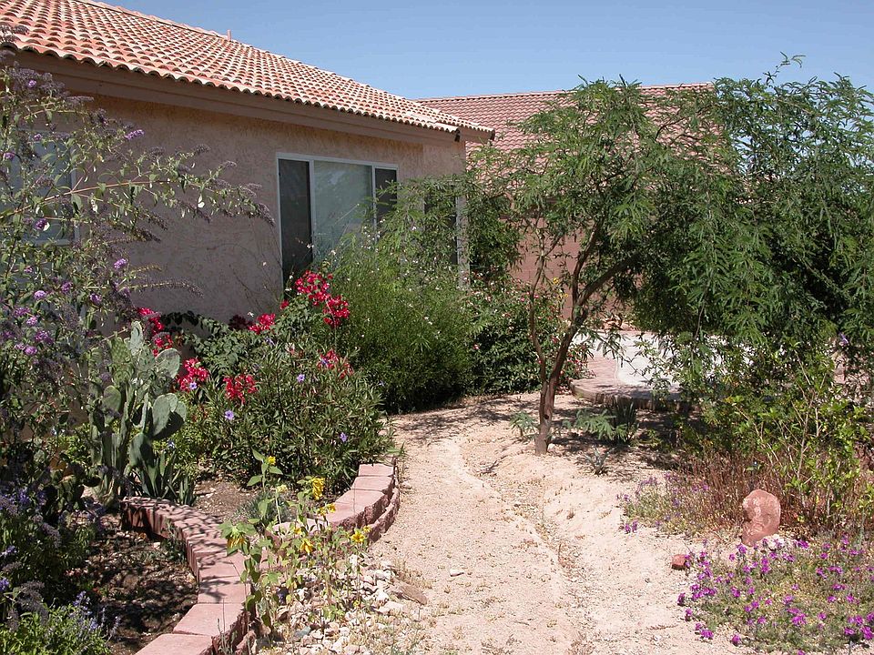 Landscaped back yard