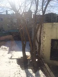 Rented by NY Life Realty