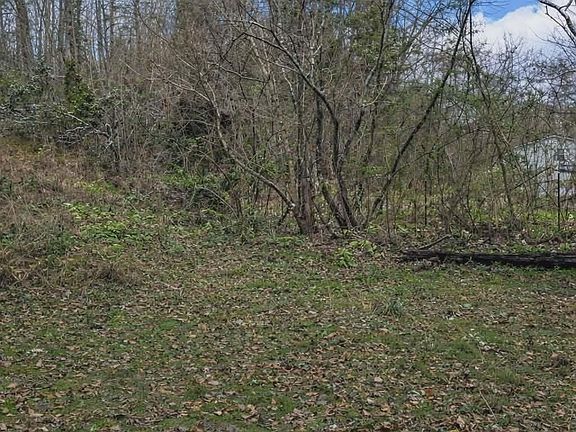 4th image of 0 Byrd Rd