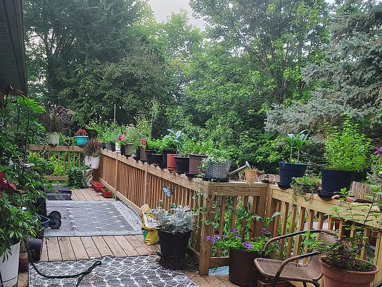 Our deck on the entrance side which is east