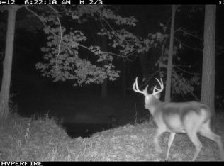 4044 S Castor Rd, Breckenridge, MI 48615