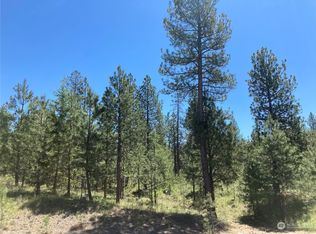 25 Chief Joseph Trl, Riverside, WA 98849