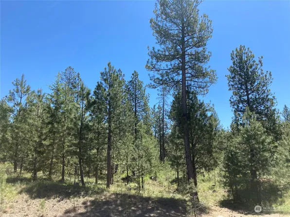 25 Lot 1 Chief Joseph Trail, Riverside, WA 98849