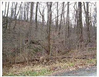 1st image of 17 Timber Trail Dr