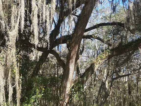 4th image of 9512 County Road 13 N