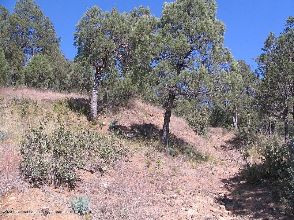 2nd image of 306 Forrest Ln