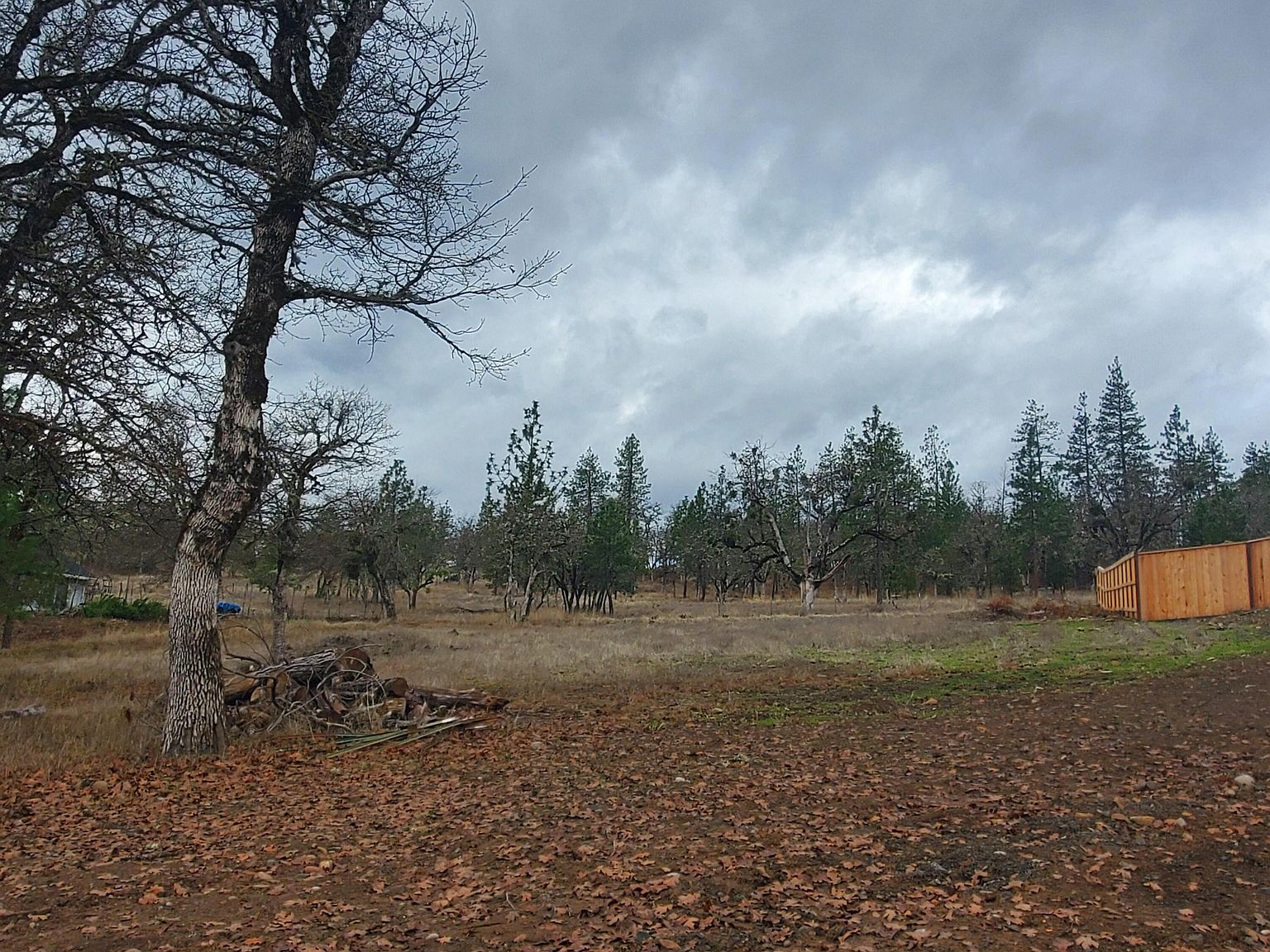 117 Hannahs Way, Shady Cove, OR 97539 MLS 220157976 Zillow