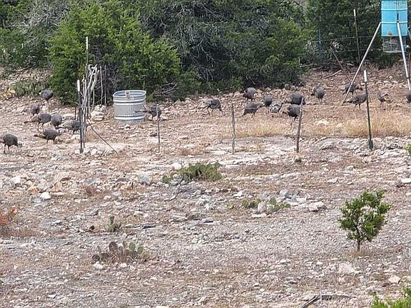 5th image of 752 SD 46061