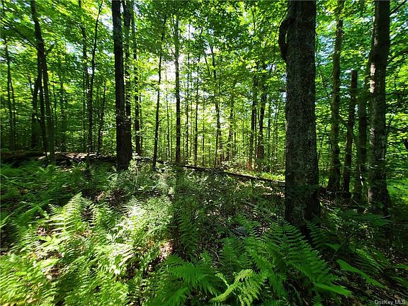 5th image of Pine Grove Rd