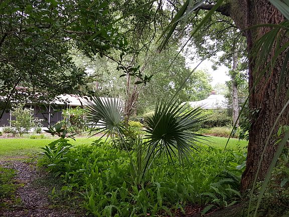 5th image of 1928 Dellwood Dr
