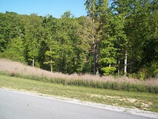 1st image of W Mountain Dr