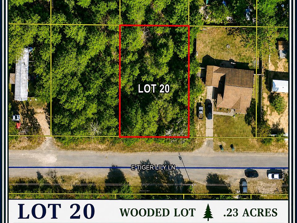1st image of 20 E Tiger Lily Ln