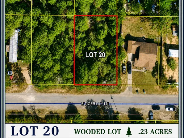 20 E Tiger Lily Ln, Defuniak Springs, FL 32433