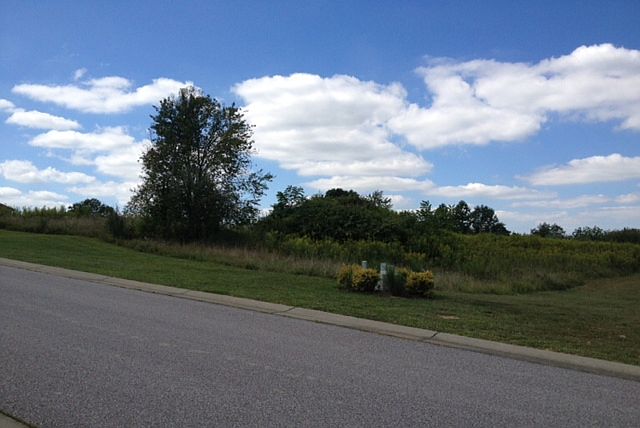 2nd image of 10578 Belle Pointe Dr