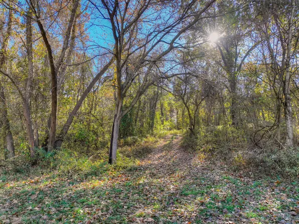 1233 E Mckinney Street, Neosho, MO 64850