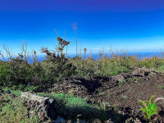 2nd image of Tiki Ln Lot 14