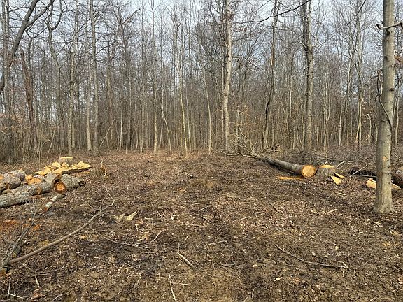 3rd image of 0 Dug Hill Rd Tract 13