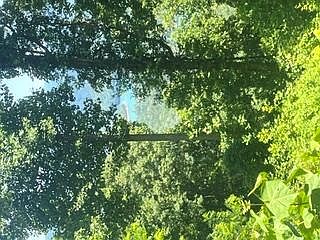 1st image of LOT 70 Fontana Trace Dr