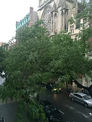 Rented by Your Vanity Realty