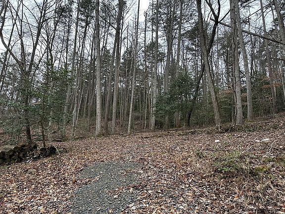4th image of 7020 Martins Creek Rd