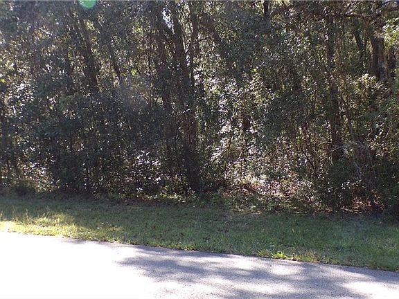 5th image of 4164 N Forest Lake Dr