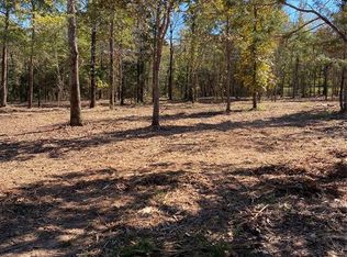 Vz County Road 4607, Ben Wheeler, TX 75754