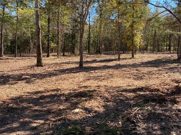 Vz County Road 4607, Ben Wheeler, TX 75754