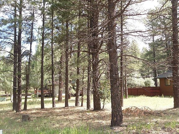 3rd image of 380 Barnwood Trl