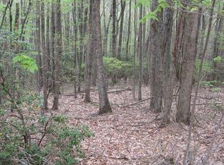 159 Rhododendron Dr, Banner Elk, NC 28604