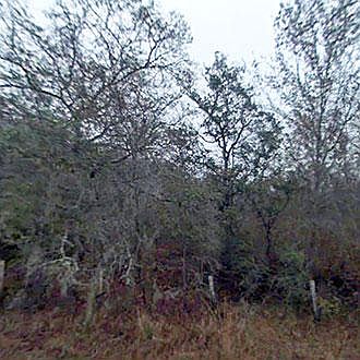 2nd image of Canal Ave