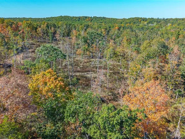 3 Mill St, Potosi, MO 63664