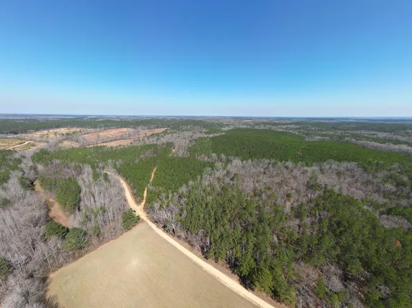 0 Anthony St, Detroit, AL 35552