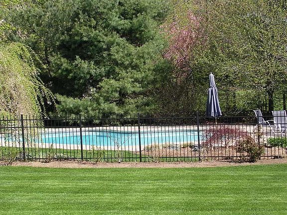 backyard and pool