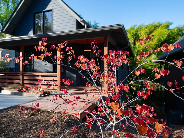 12 Waverly Rd — Photo 16
