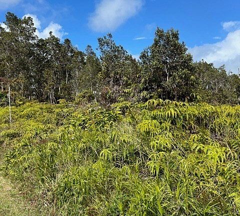 5th image of 11-3948 Nahelenani St Lot 53-B