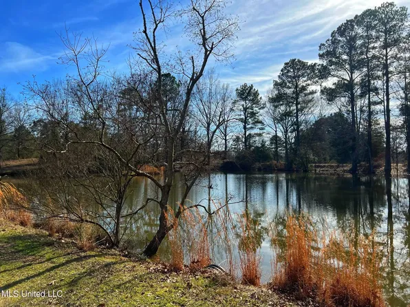Kimbell Rd, Terry, MS 39170