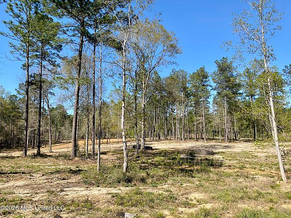 5th image of 10 Monarch Cir Lot 72