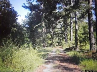 6253A County Road 398, Tyler, TX 75705