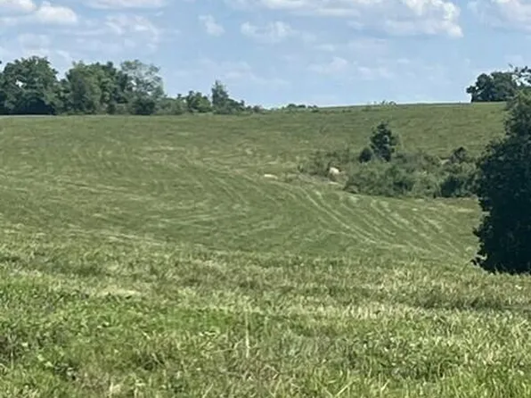 1699 Gillispie Rd, Paris, KY 40361