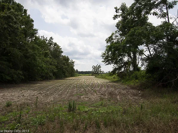 0 Joyner Oglesby Road, Sardis, GA