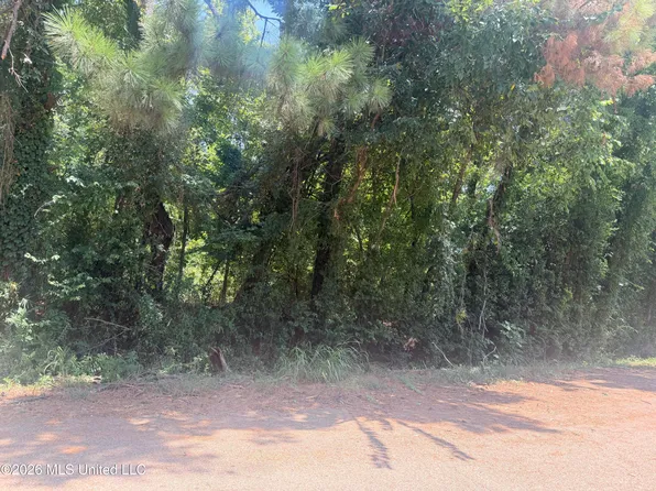 0 Woodhaven Dr Lot 26, Natchez, MS 39120