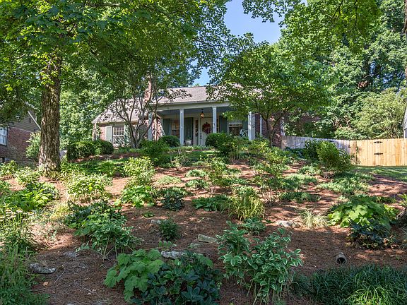 Native plants, large maples